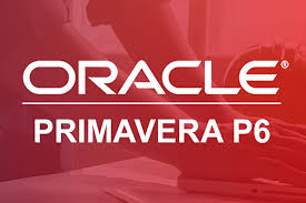 Primavera P6