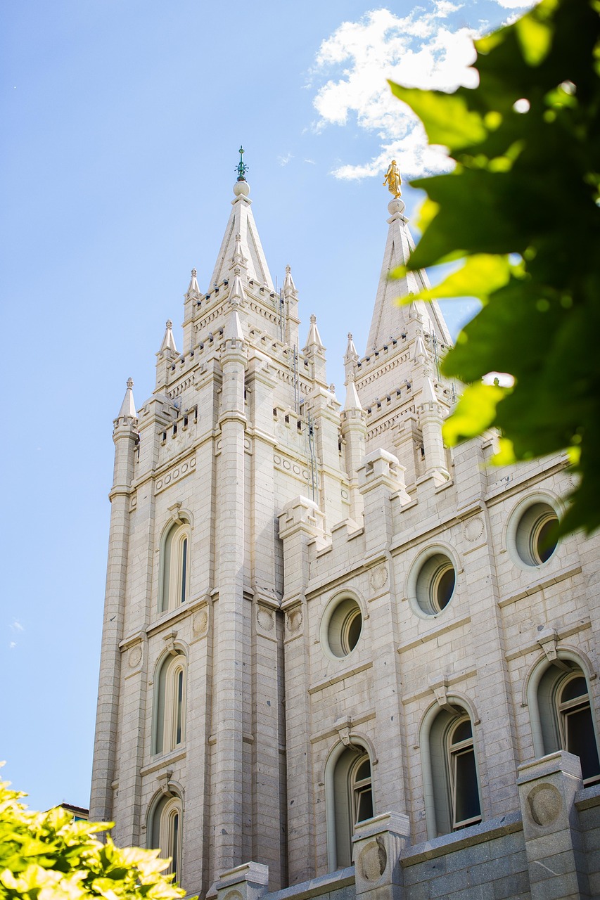 Excavation Companies Salt Lake City – Ready To Dig In?…