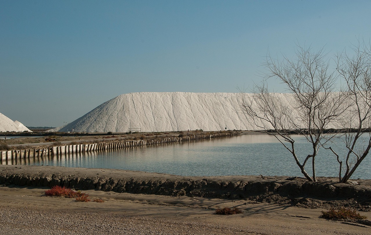 Excavation Contractors Salt Lake City – Digging Deep: Your Guide…